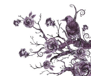 Raven sitting in a rose bush. Death positive